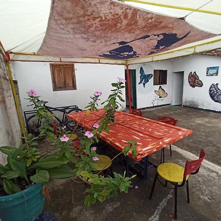 Hostal Donde Jose Guadalupe Εξωτερικό φωτογραφία